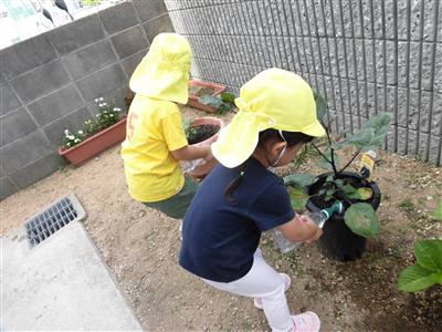 明石第6保育園2｜施設写真